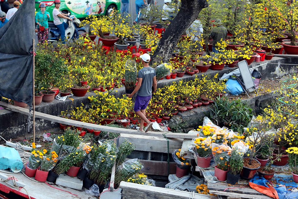 Chủ bán hoa Tết Bến Bình Đông: Giảm giá giảm hết cỡ để khỏi ôm hàng ngày 30 Tết - ảnh 10