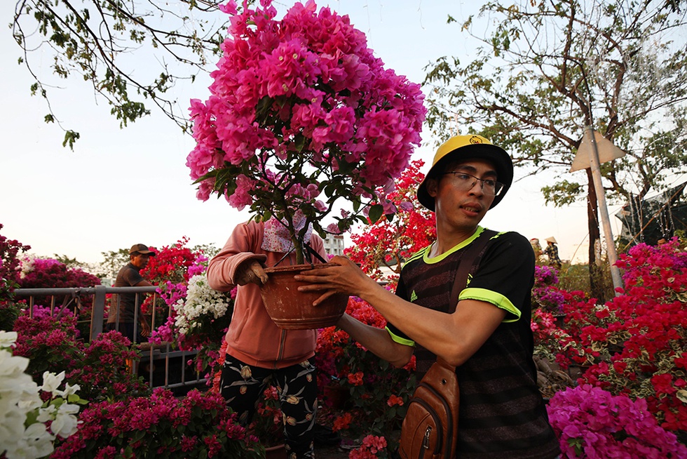 Chủ bán hoa Tết Bến Bình Đông: Giảm giá giảm hết cỡ để khỏi ôm hàng ngày 30 Tết - ảnh 1