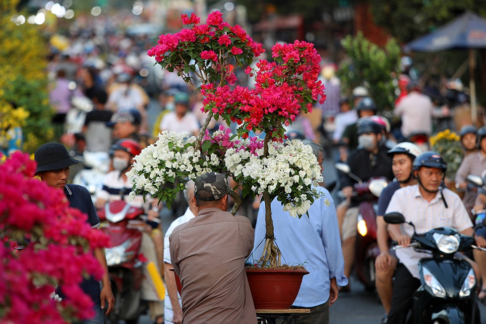 Chủ bán hoa Tết Bến Bình Đông: Giảm giá giảm hết cỡ để khỏi ôm hàng ngày 30 Tết - ảnh 6